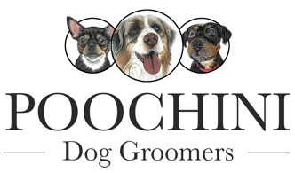 Poochini Dog Groomers in Chester