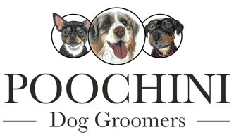 Poochini Dog Spa in Chester